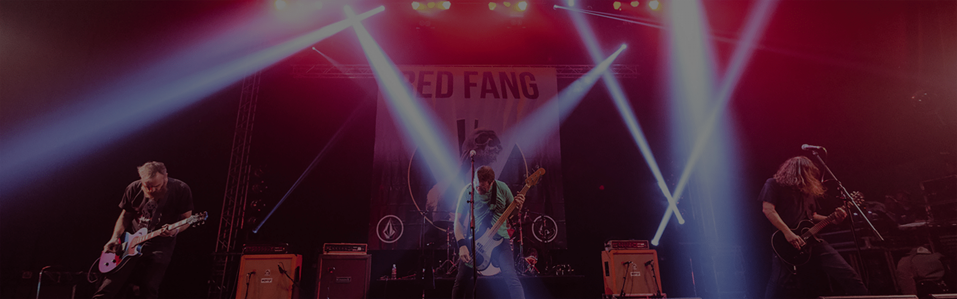 collection-banner-image